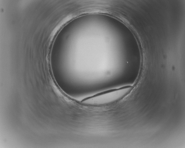 X0000051911189200507082022