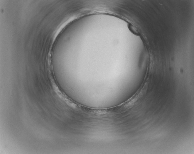 X0000051911190200507082022