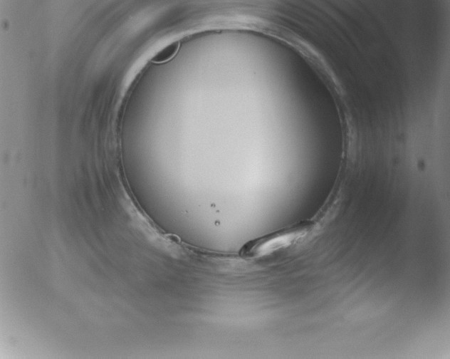 X0000051911192200507082022