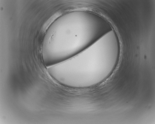 X0000051911193200507082022