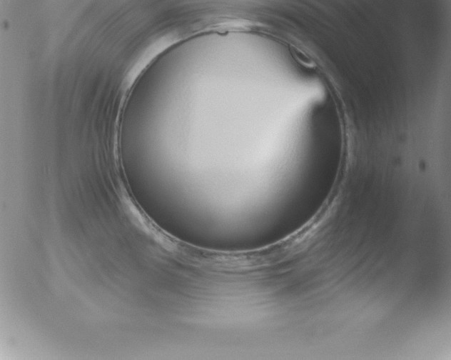 X0000051911194200507082021