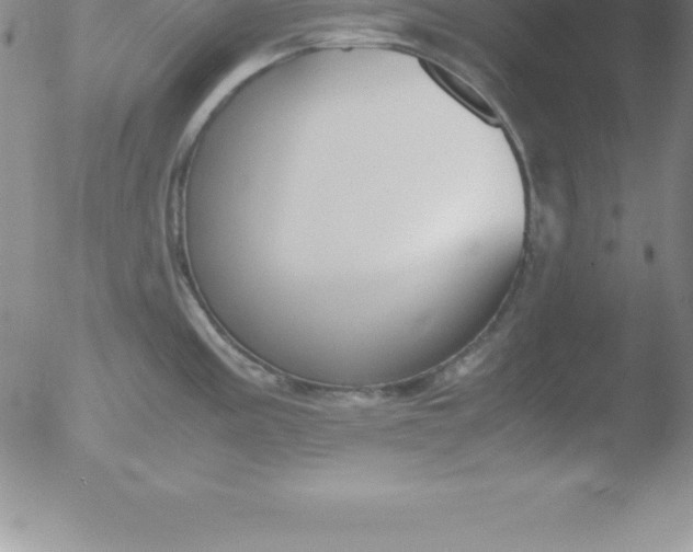 X0000051911195200507082021