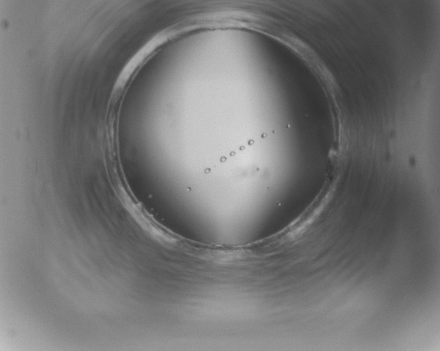 X0000051911196200507082021