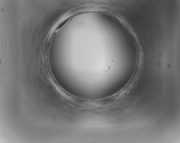 X0000051911197200507082021