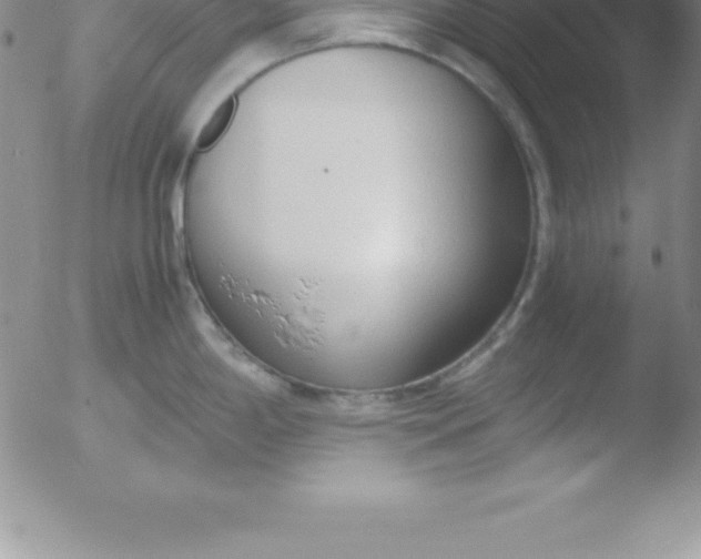 X0000051911198200507082021