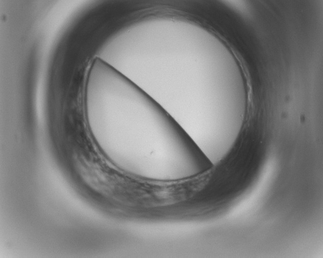 X0000051911199200507082021