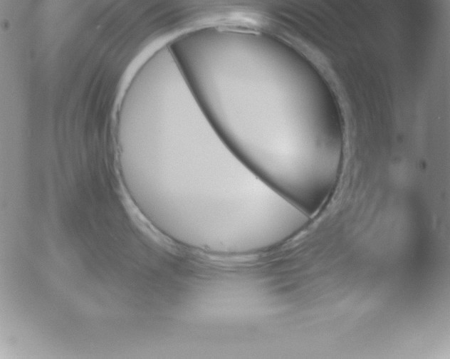 X0000051911200200507082021