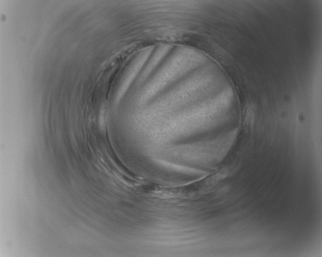 X0000051911202200507082021