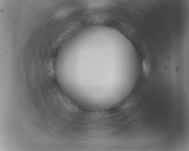 X0000051911203200507082021