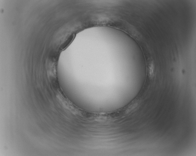 X0000051911204200507082021