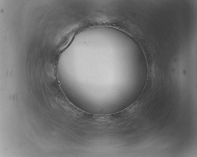 X0000051911205200507082021