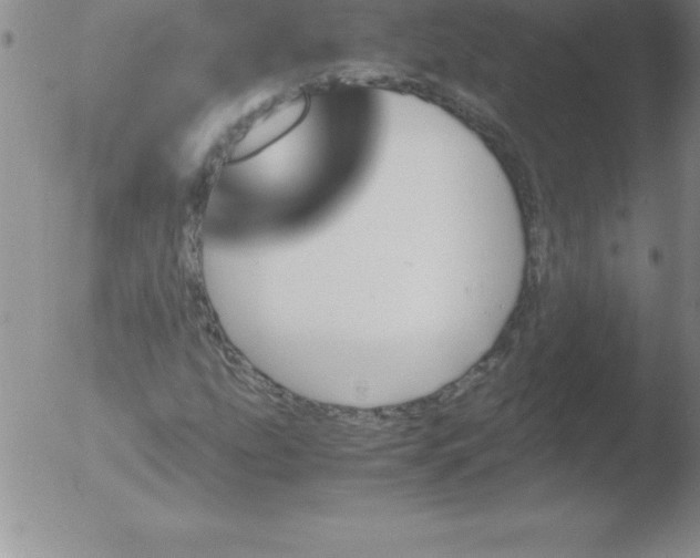 X0000051911207200507082021