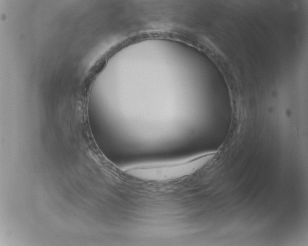 X0000051911208200507082021