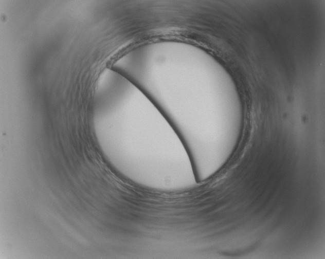 X0000051911209200507082021