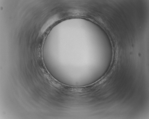 X0000051911211200507082021