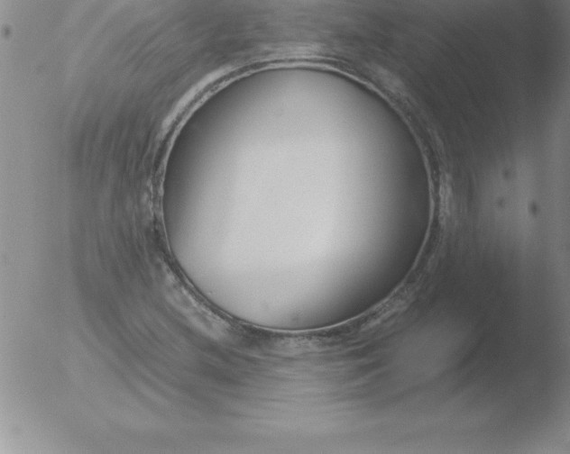 X0000051911212200507082021