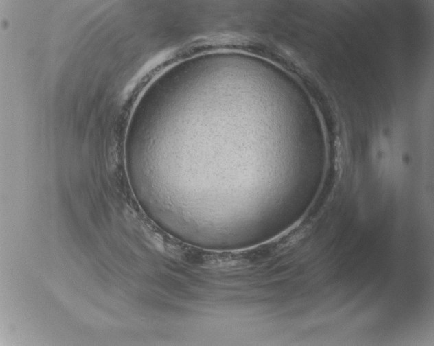 X0000051911213200507082021