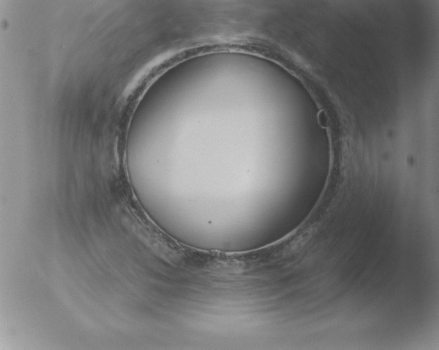 X0000051911214200507082021