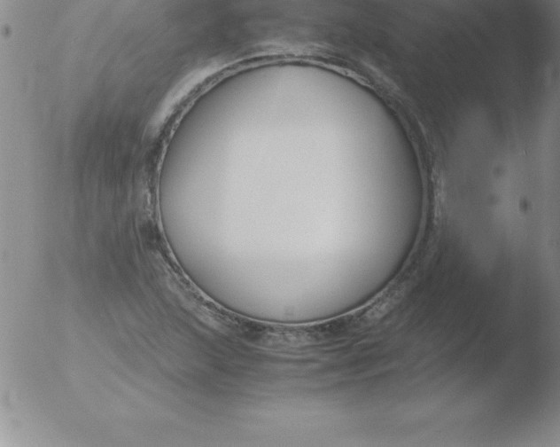 X0000051911215200507082021