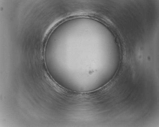 X0000051911216200507082021