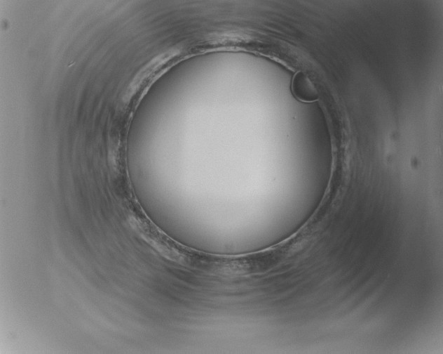 X0000051911217200507082021