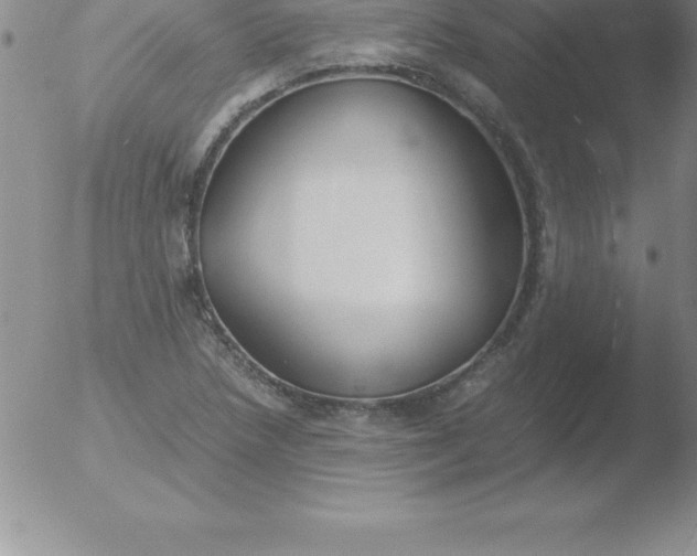 X0000051911218200507082021