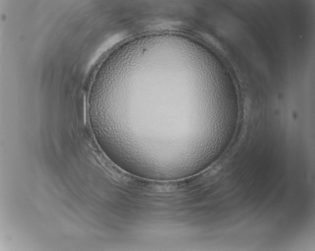 X0000051911219200507082021