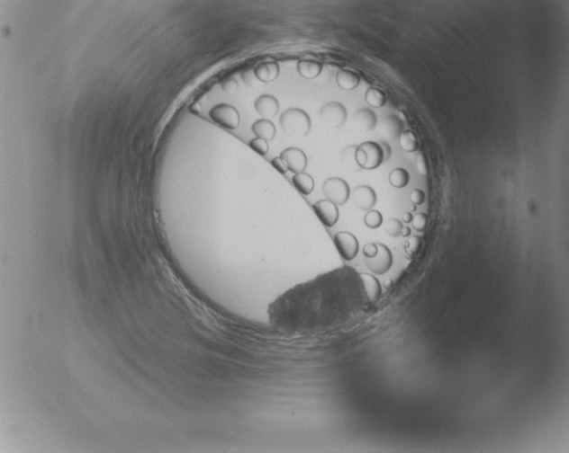 X0000051911220200507082021