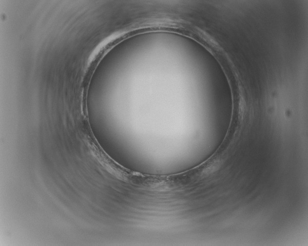 X0000051911222200507082021