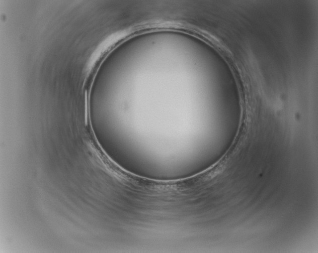 X0000051911223200507082021