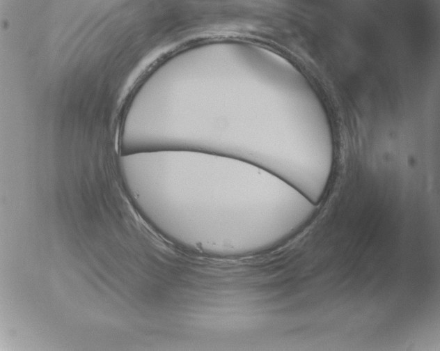 X0000051911224200507082021