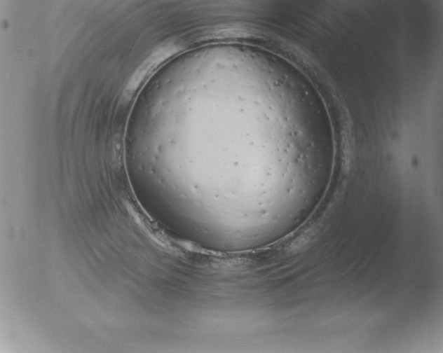 X0000051911225200507082021