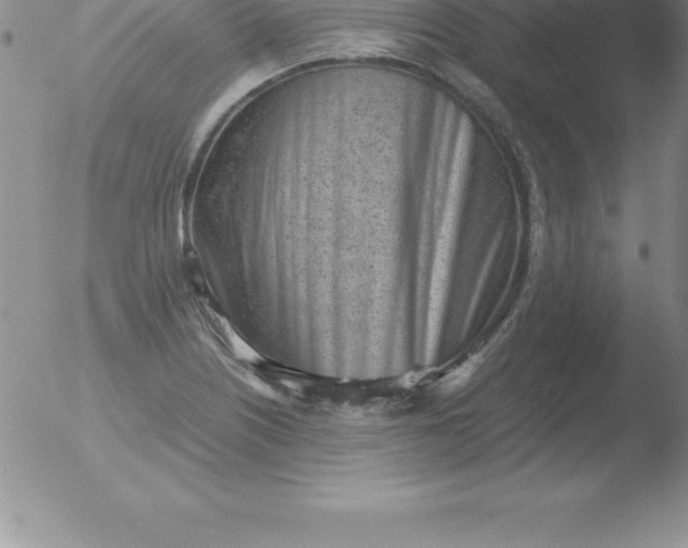 X0000051911226200507082021