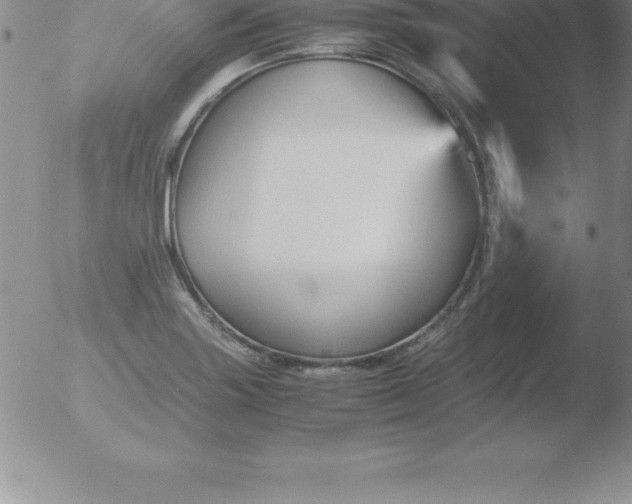 X0000051911227200507082021