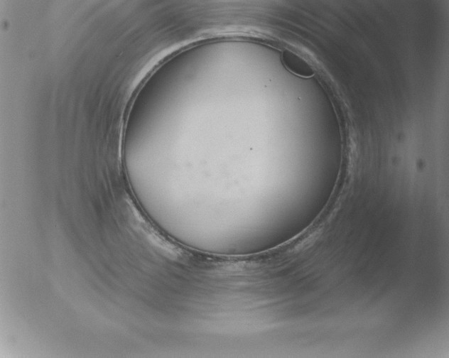 X0000051911228200507082021