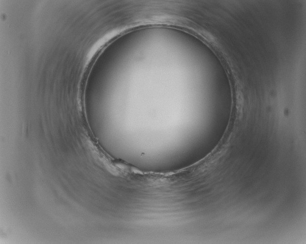 X0000051911230200507082021