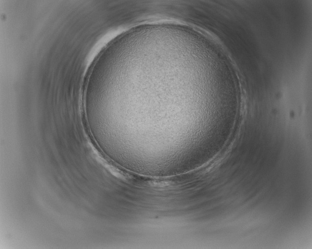 X0000051911231200507082021