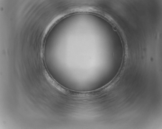 X0000051911232200507082021