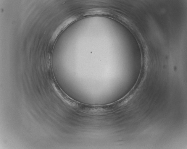 X0000051911233200507082021