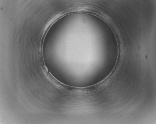 X0000051911234200507082021