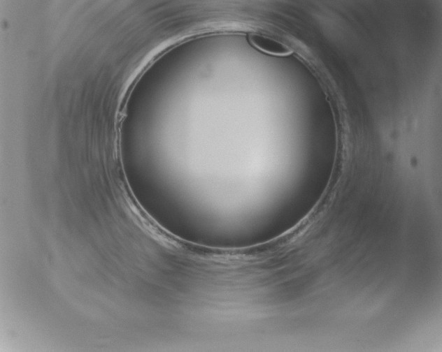 X0000051911236200507082021