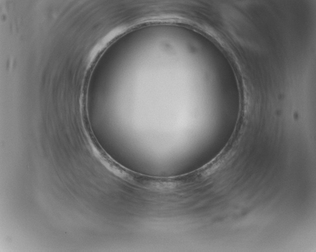 X0000051911237200507082021