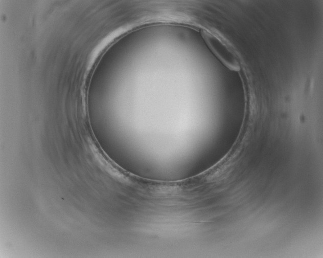 X0000051911238200507082021