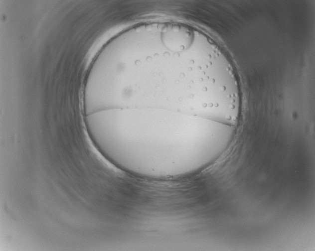 X0000051911239200507082021