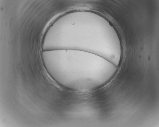 X0000051911240200507082021