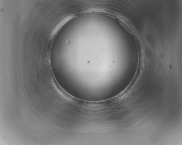 X0000051911241200507082021