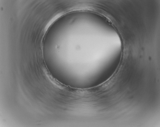 X0000051911242200507082021