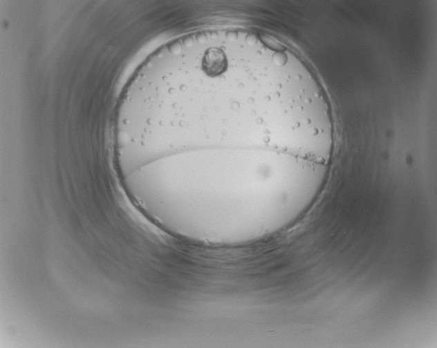 X0000051911243200507082021