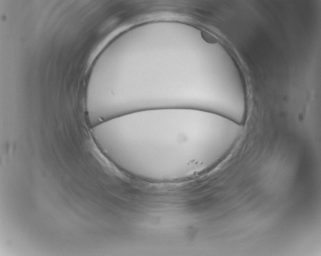 X0000051911244200507082021