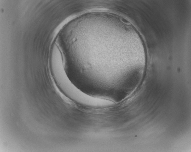 X0000051911245200507082021